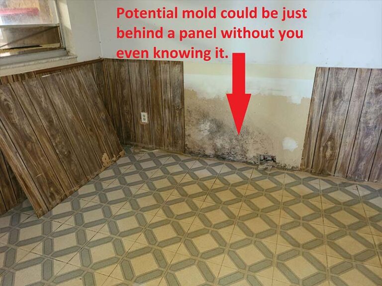Mold behind wood paneling